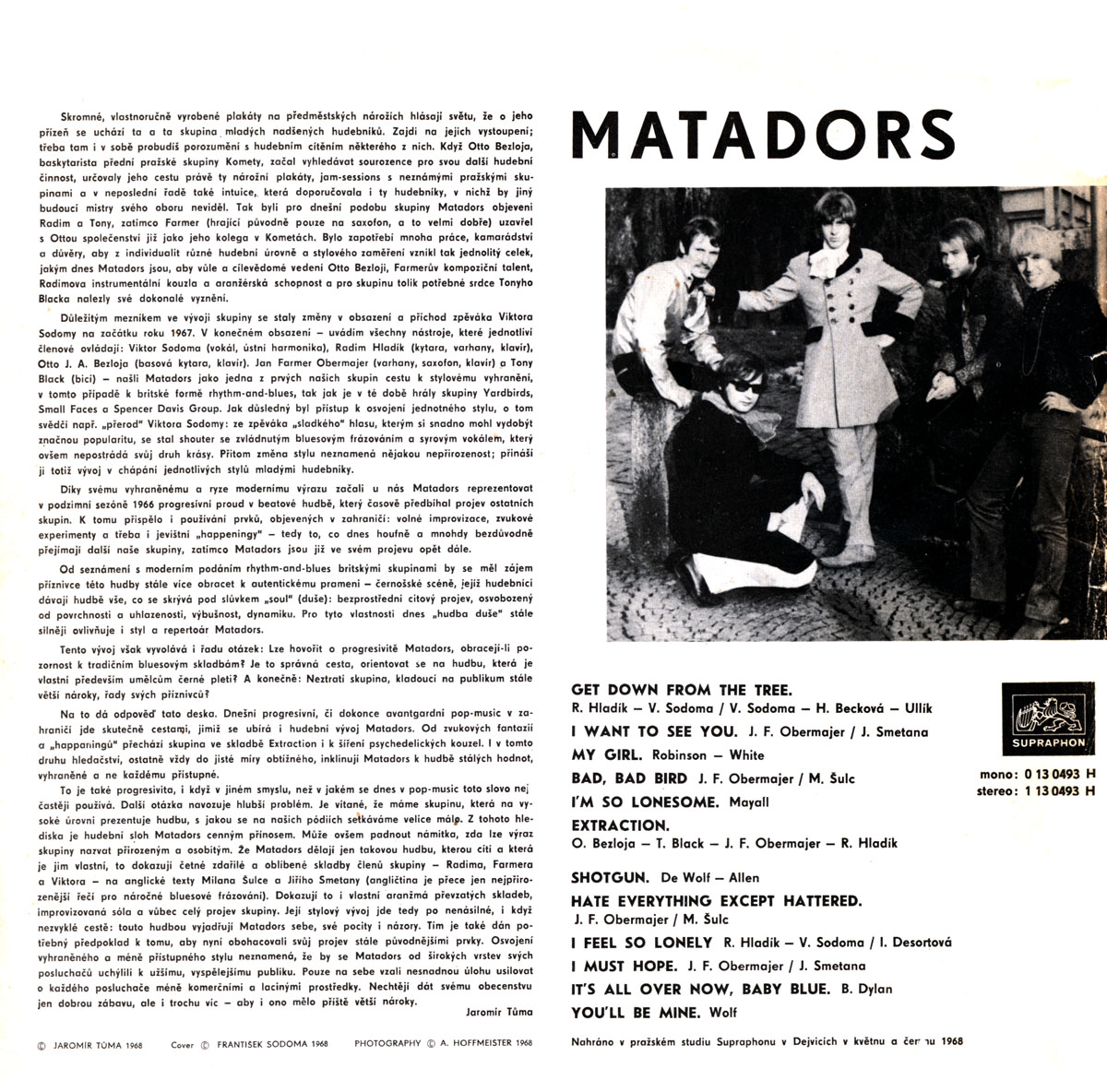 THE MATADORS - THE MATADORS   2