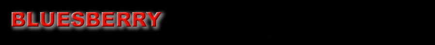 Logo BLUESBERRY