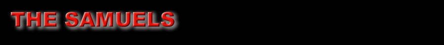 Logo THE SAMUELS